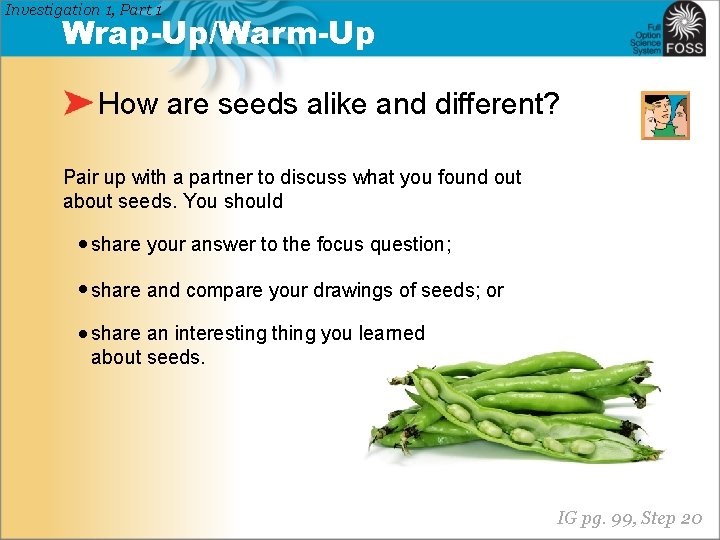 Investigation 1, Part 1 Wrap-Up/Warm-Up How are seeds alike and different? Pair up with