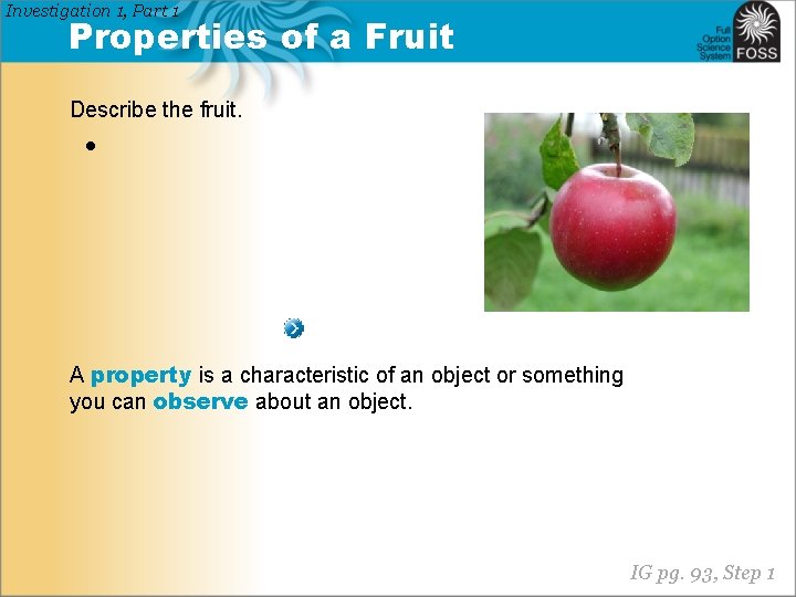 Investigation 1, Part 1 Properties of a Fruit Describe the fruit. • A property