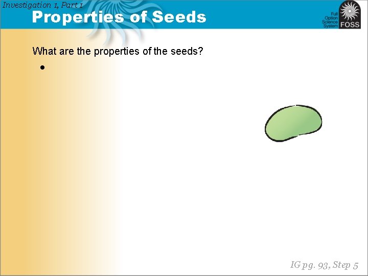 Investigation 1, Part 1 Properties of Seeds What are the properties of the seeds?
