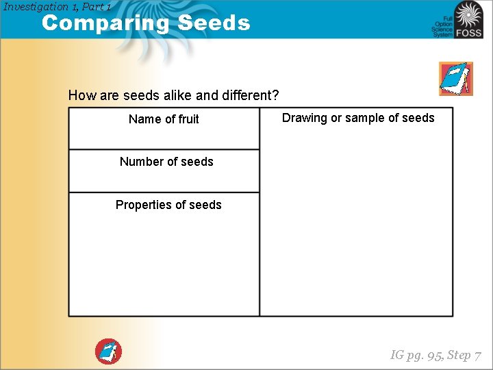 Investigation 1, Part 1 Comparing Seeds How are seeds alike and different? Name of