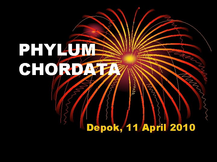 PHYLUM CHORDATA Depok, 11 April 2010 