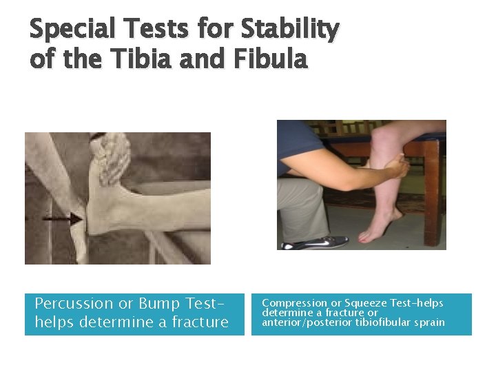 Special Tests for Stability of the Tibia and Fibula Percussion or Bump Testhelps determine