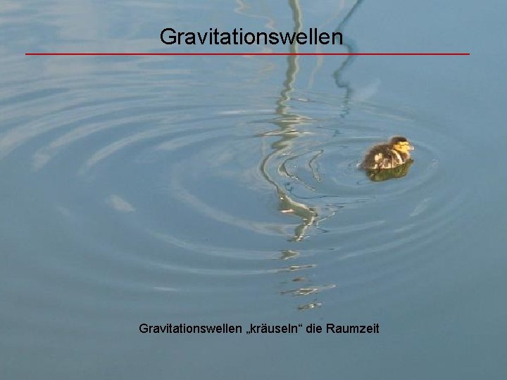 Gravitationswellen „kräuseln“ die Raumzeit 