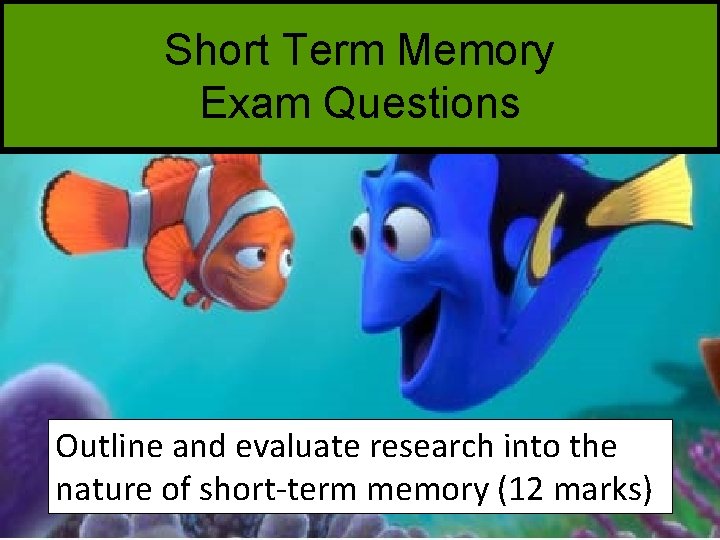 Short Term Memory Exam Questions Outline and evaluate research into the nature of short-term
