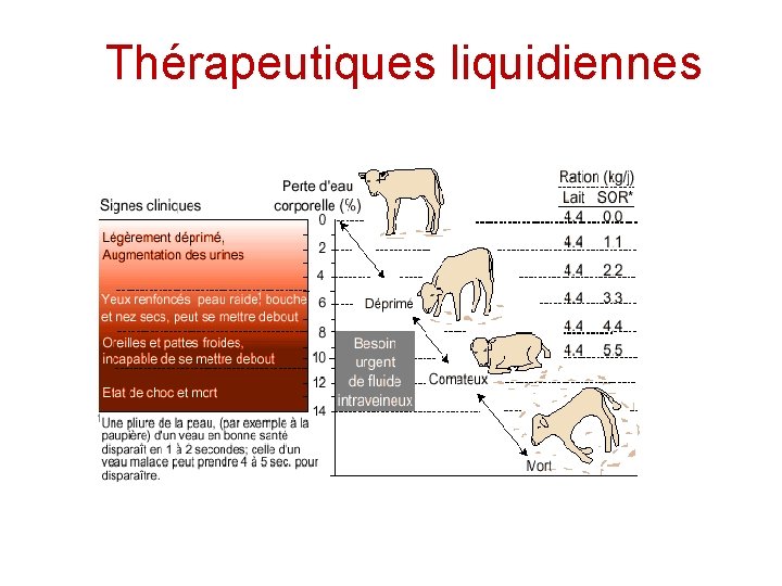 Thérapeutiques liquidiennes 