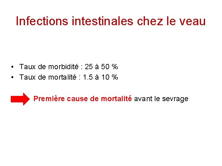 Infections intestinales chez le veau • Taux de morbidité : 25 à 50 %