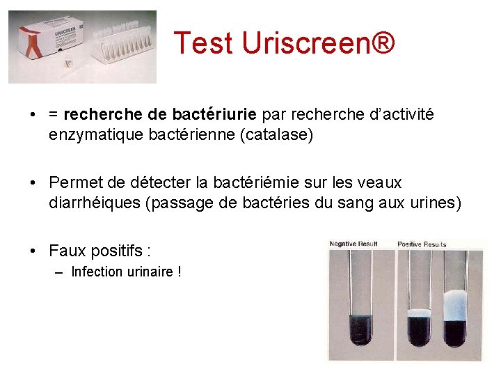 Test Uriscreen® • = recherche de bactériurie par recherche d’activité enzymatique bactérienne (catalase) •