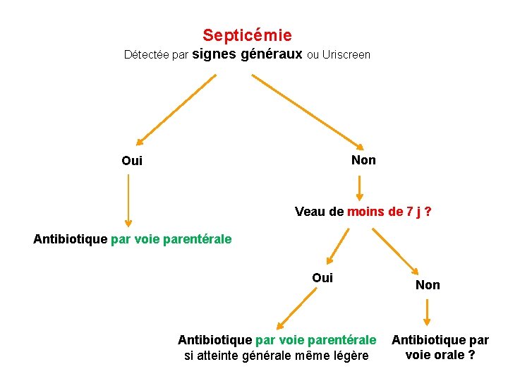 Septicémie Détectée par signes généraux ou Uriscreen Non Oui Veau de moins de 7