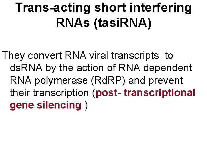 Trans-acting short interfering RNAs (tasi. RNA) They convert RNA viral transcripts to ds. RNA