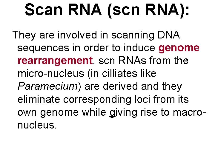 Scan RNA (scn RNA): They are involved in scanning DNA sequences in order to