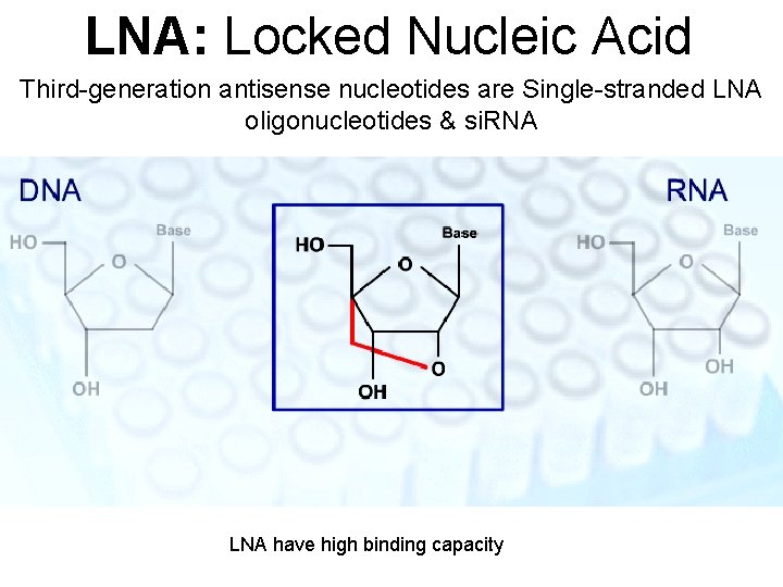 LNA: Locked Nucleic Acid Third-generation antisense nucleotides are Single-stranded LNA oligonucleotides & si. RNA