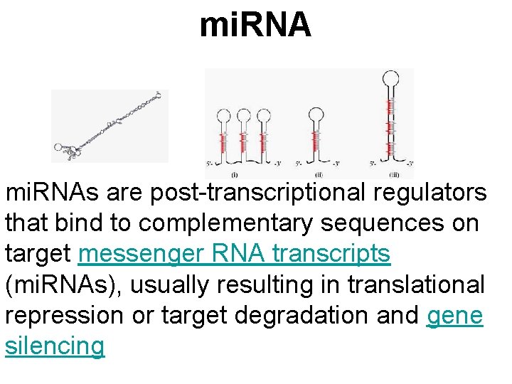 mi. RNAs are post-transcriptional regulators that bind to complementary sequences on target messenger RNA