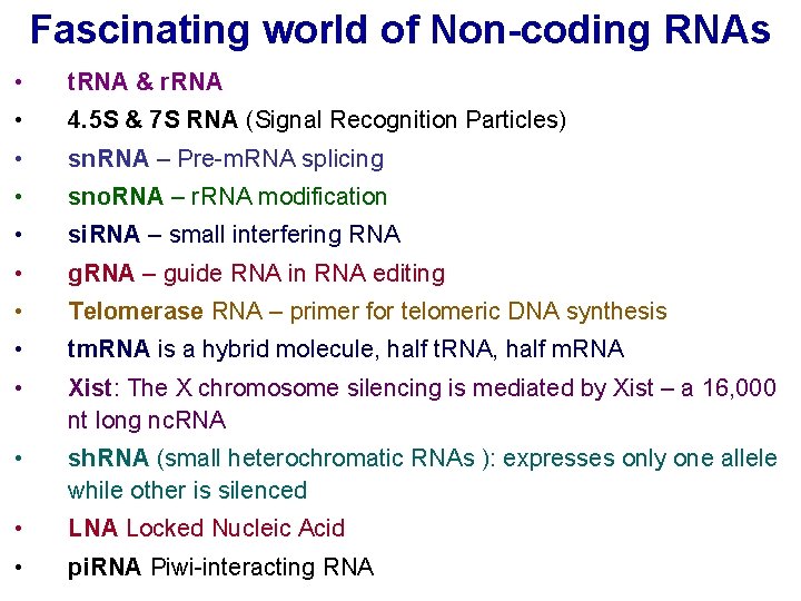 Fascinating world of Non-coding RNAs • t. RNA & r. RNA • 4. 5