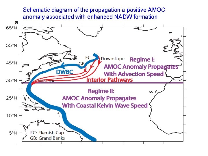 Schematic diagram of the propagation a positive AMOC anomaly associated with enhanced NADW formation
