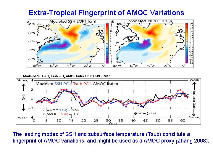 Extra-Tropical Fingerprint of AMOC Variations Modeled SSH PC 1, Tsub PC 1, AMOC Index