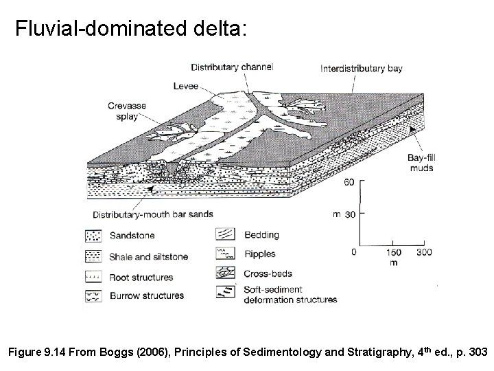 Fluvial-dominated delta: Figure 9. 14 From Boggs (2006), Principles of Sedimentology and Stratigraphy, 4