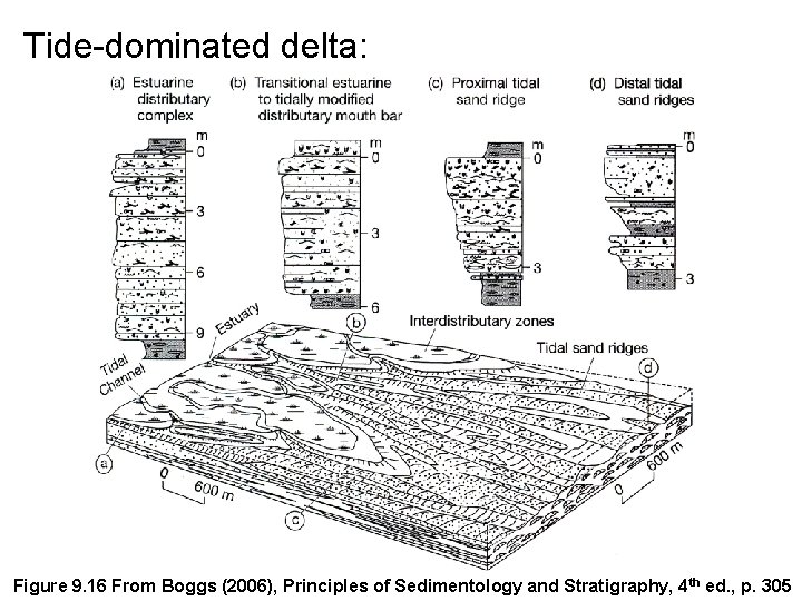 Tide-dominated delta: Figure 9. 16 From Boggs (2006), Principles of Sedimentology and Stratigraphy, 4
