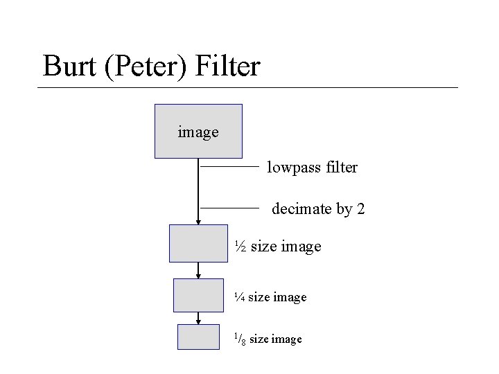 Burt (Peter) Filter image lowpass filter decimate by 2 ½ size image ¼ size