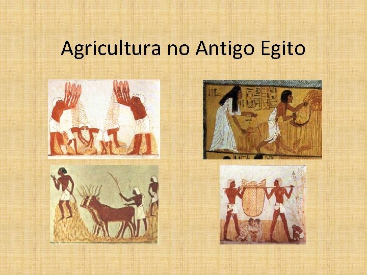 Agricultura no Antigo Egito 