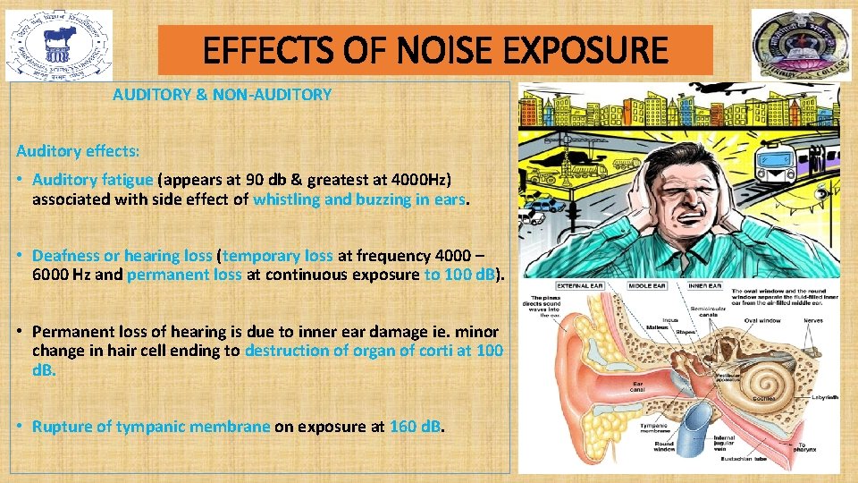 EFFECTS OF NOISE EXPOSURE AUDITORY & NON-AUDITORY Auditory effects: • Auditory fatigue (appears at