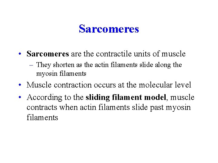 Sarcomeres • Sarcomeres are the contractile units of muscle – They shorten as the