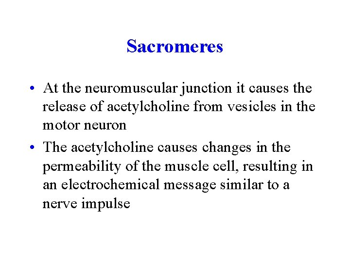 Sacromeres • At the neuromuscular junction it causes the release of acetylcholine from vesicles
