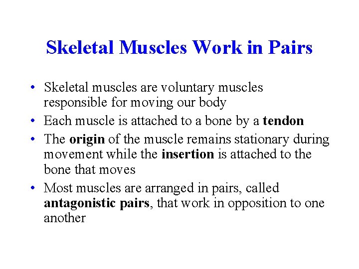 Skeletal Muscles Work in Pairs • Skeletal muscles are voluntary muscles responsible for moving