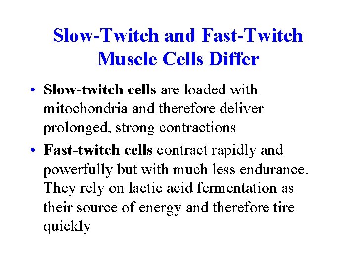 Slow-Twitch and Fast-Twitch Muscle Cells Differ • Slow-twitch cells are loaded with mitochondria and