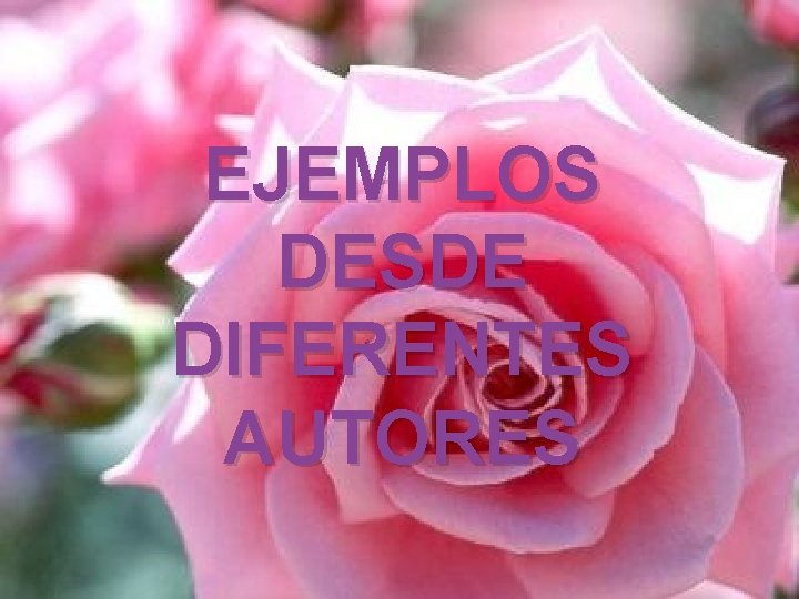 EJEMPLOS DESDE DIFERENTES AUTORES 