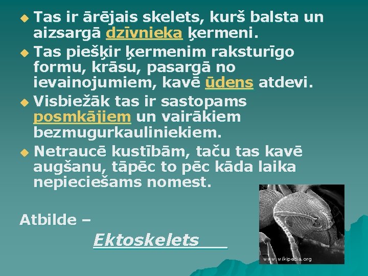 Tas ir ārējais skelets, kurš balsta un aizsargā dzīvnieka ķermeni. u Tas piešķir ķermenim Tas ir ārējais skelets, kurš balsta un aizsargā dzīvnieka ķermeni. u Tas piešķir ķermenim
