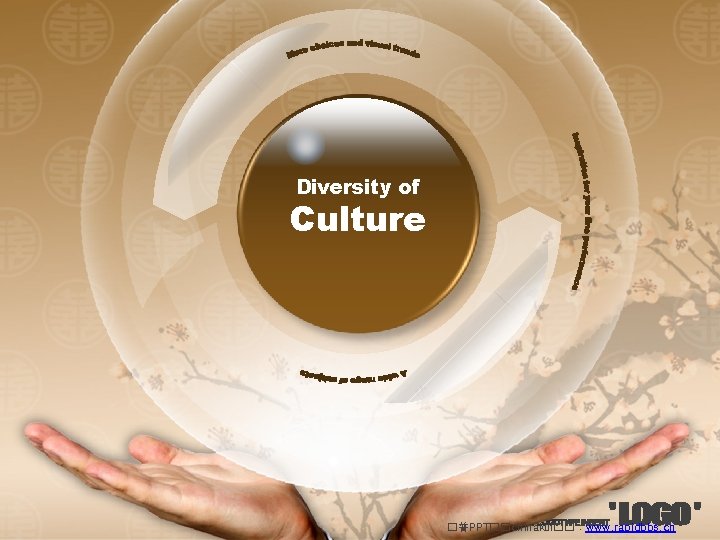 Diversity of Culture �普PPT��chinakui��：www. rapidbbs. cn 