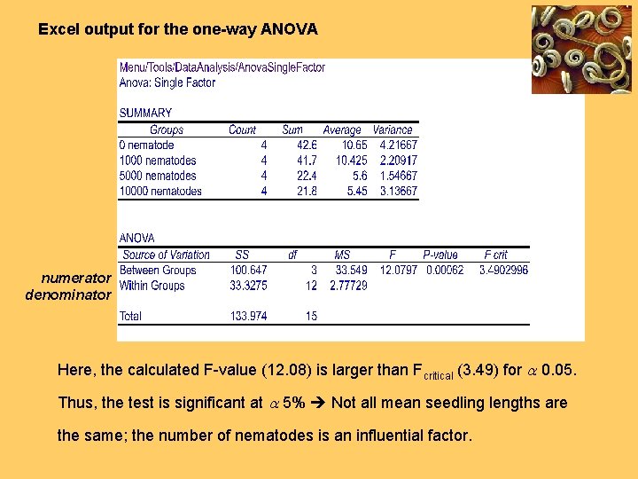 Excel output for the one-way ANOVA numerator denominator Here, the calculated F-value (12. 08)