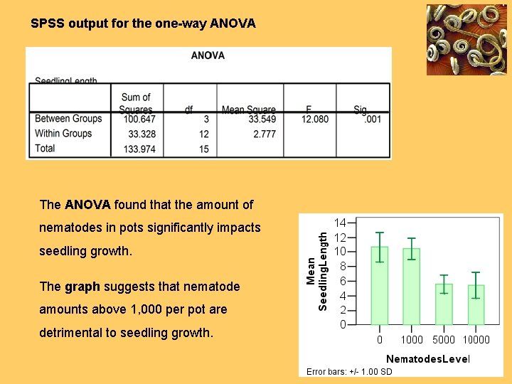 SPSS output for the one-way ANOVA The ANOVA found that the amount of nematodes