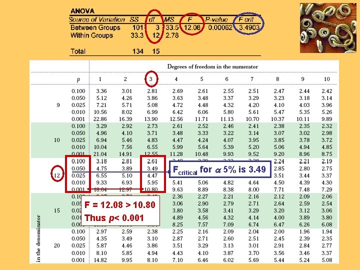 Fcritical for a 5% is 3. 49 F = 12. 08 > 10. 80
