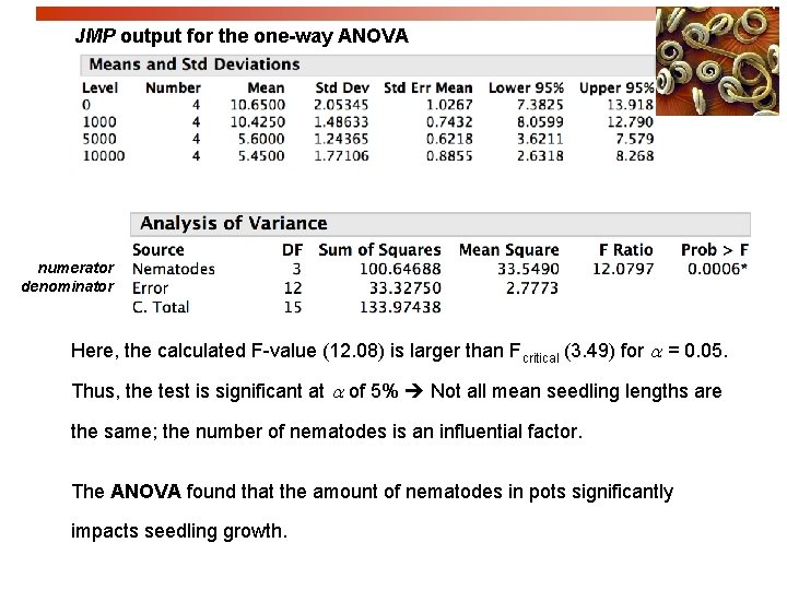 JMP output for the one-way ANOVA numerator denominator Here, the calculated F-value (12. 08)