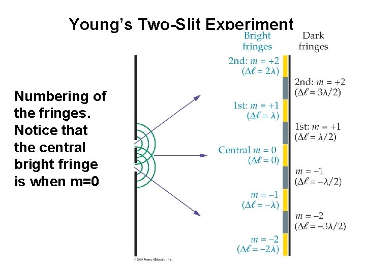 Young’s Two-Slit Experiment Numbering of the fringes. Notice that the central bright fringe is