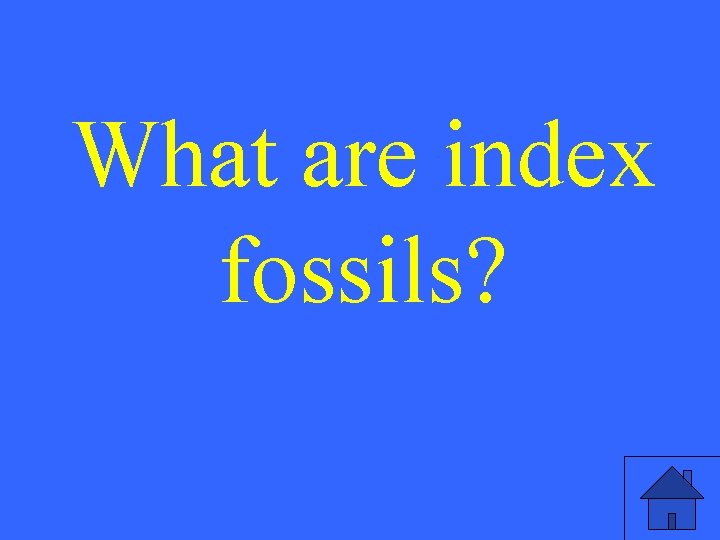 What are index fossils? 