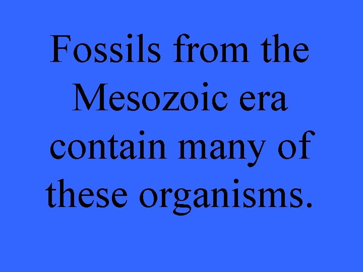 Fossils from the Mesozoic era contain many of these organisms. 