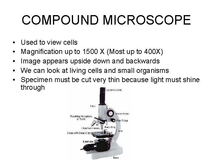 COMPOUND MICROSCOPE • • • Used to view cells Magnification up to 1500 X