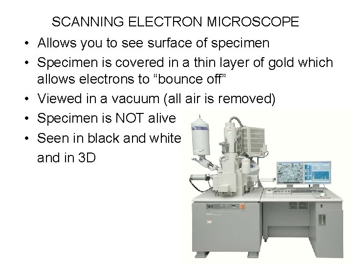 SCANNING ELECTRON MICROSCOPE • Allows you to see surface of specimen • Specimen is