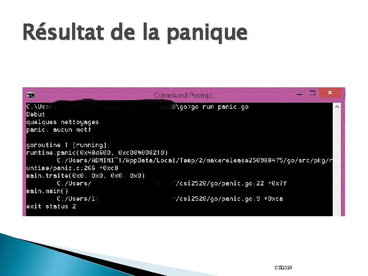 Résultat de la panique CSI 2520 
