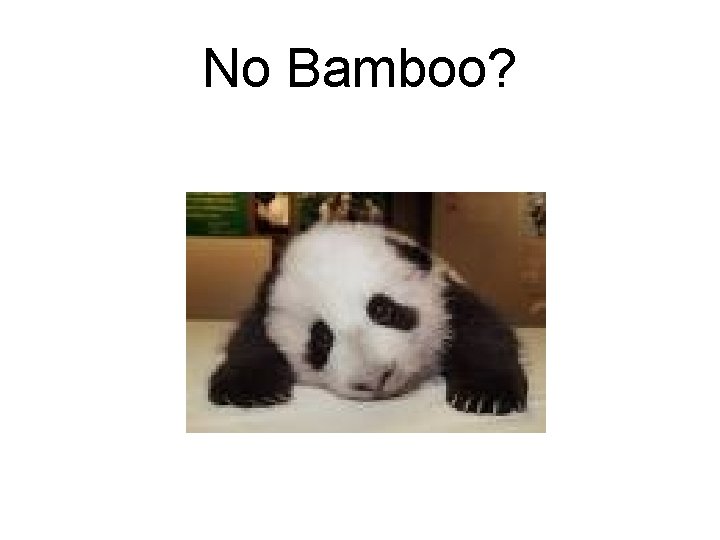 No Bamboo? 