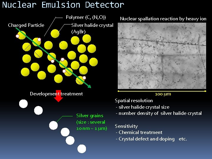 Nuclear Emulsion Detector Polymer (C, (N, O)) Charged Particle Silver halide crystal (Ag. Br)