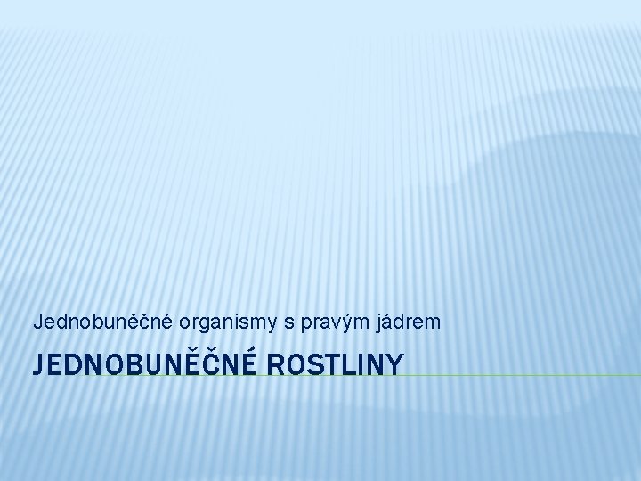 Jednobuněčné organismy s pravým jádrem JEDNOBUNĚČNÉ ROSTLINY 