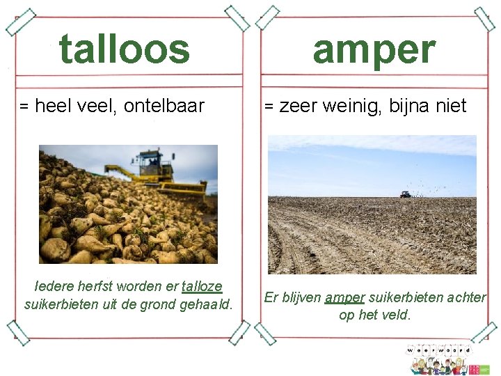 talloos = heel veel, ontelbaar Iedere herfst worden er talloze suikerbieten uit de grond