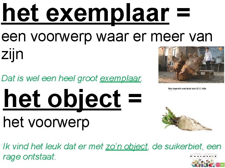 het exemplaar = een voorwerp waar er meer van zijn Dat is wel een