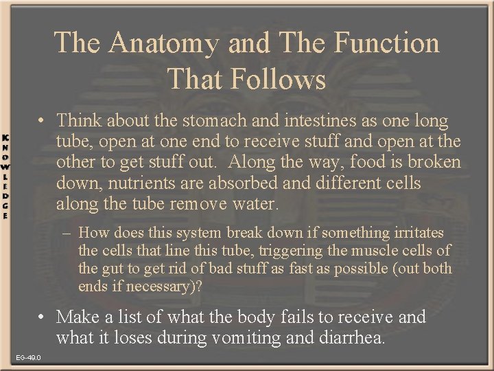 The Anatomy and The Function That Follows • Think about the stomach and intestines