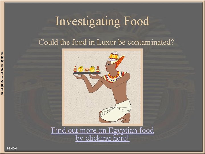 Investigating Food Could the food in Luxor be contaminated? Find out more on Egyptian