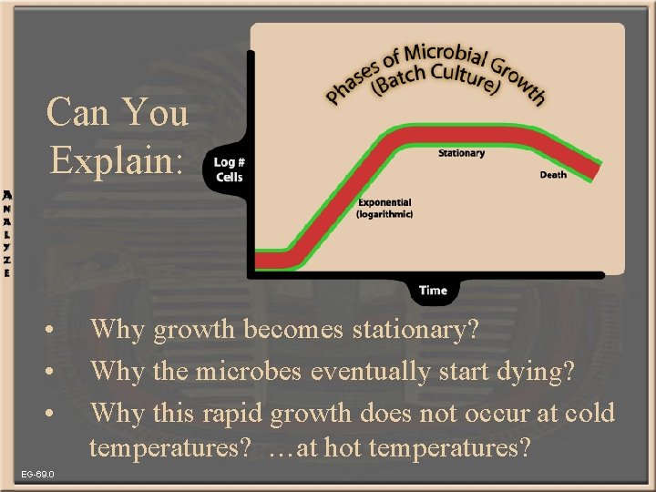 Can You Explain: • • • EG-69. 0 Why growth becomes stationary? Why the