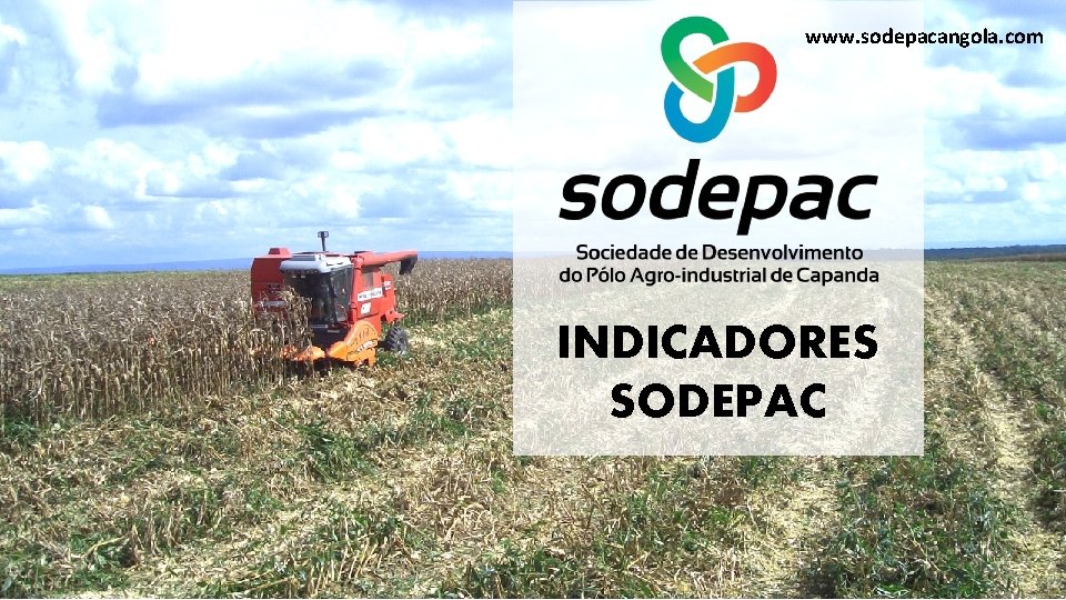 www. sodepacangola. com INDICADORES SODEPAC 